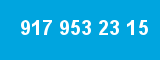 917 953 23 15 917 953 23 15